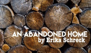 An-Abandoned-Home-Erika-Schreck-300x175